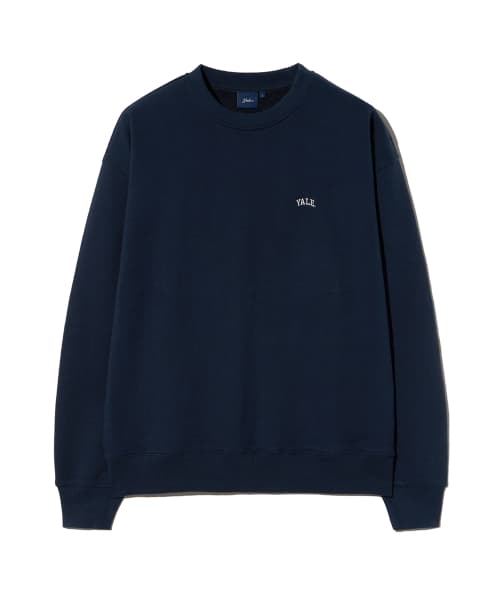 Small Arch Sweatshirt_Navy