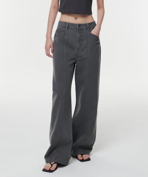 Women's Panel Wide Denim Pants [Gray]