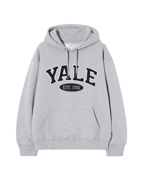 Two-Tone Arch Hoodie_Grey