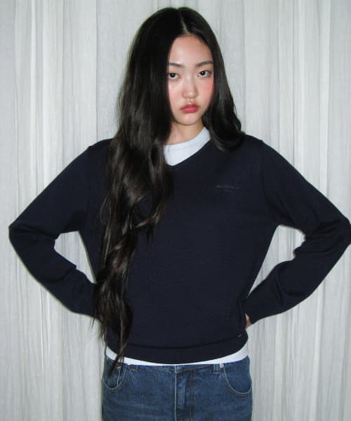 Classic Regular V-Neck Knit Navy